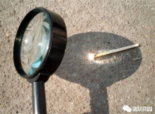 花给太阳晒伤了怎么办,被太阳晒时的花该怎么拯救回来