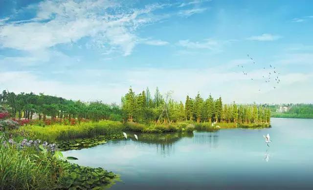 为什么一定要在一线城市定居,为什么一定要去大城市安家