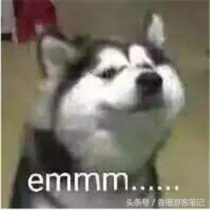 国货彩妆分享和拔草,十款彩妆推荐拔草系列