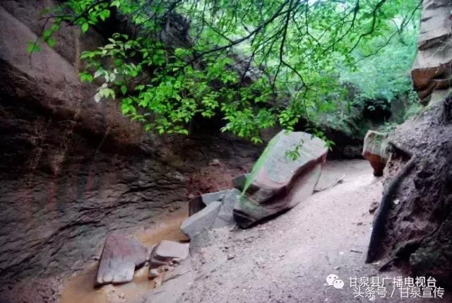 延安甘泉大峡谷桦树沟图片,甘泉雨岔大峡谷桦树沟玩多长时间