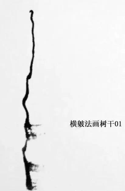 最简单的树干画法,树干的简便画法