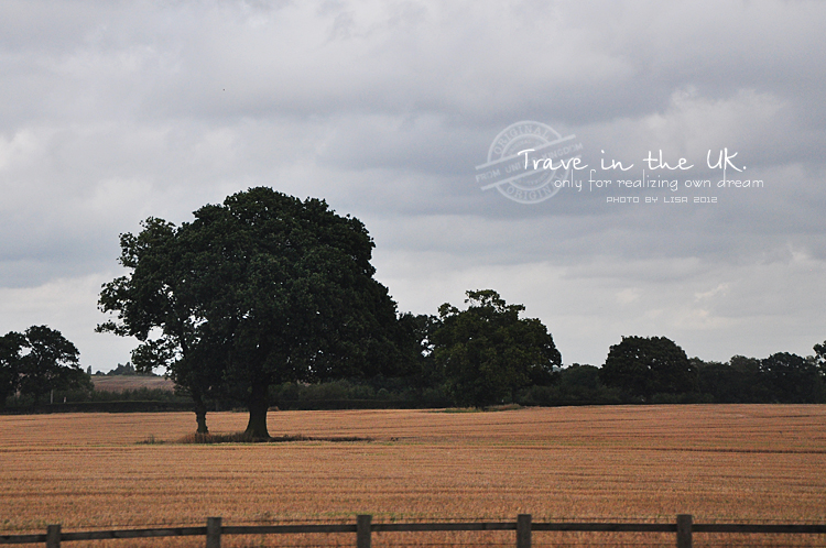 曼彻斯特老特拉福德球场航拍,曼彻斯特老特拉福德球场