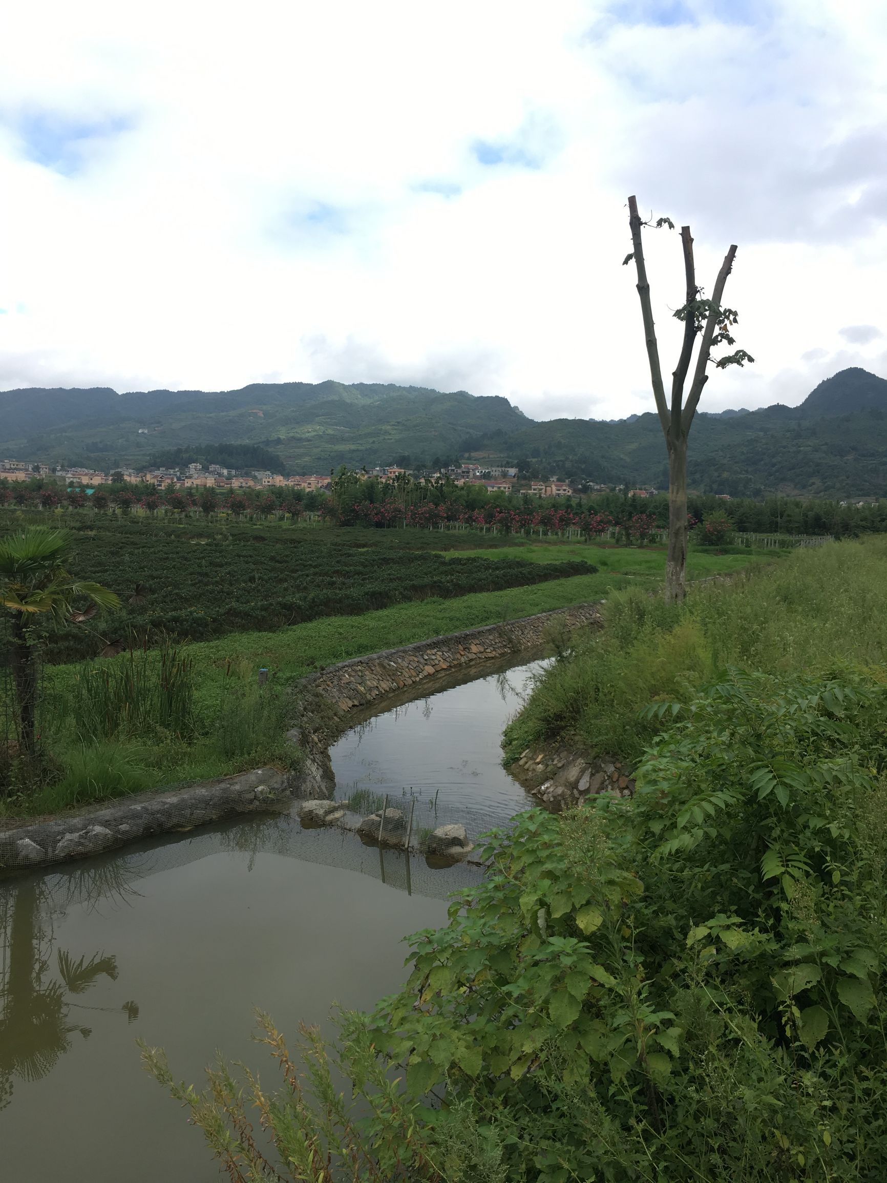 贵州金沙旅游项目,金沙县台金农业观光园