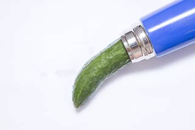 保温杯里有什么植物好养活,保温杯里有什么东西不能放