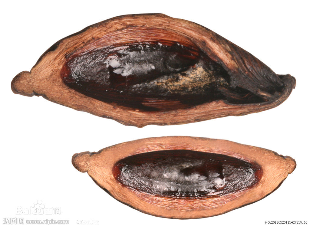 槟榔加烟有啥危害,槟榔加烟有什么危害