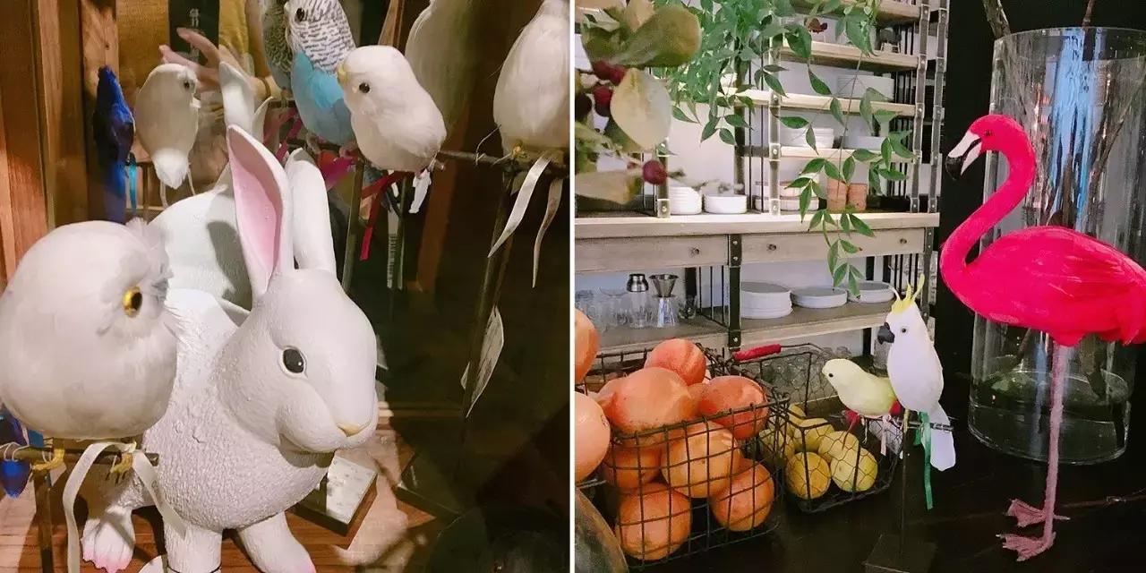 100张上海解放前照片,10张照片还原现实