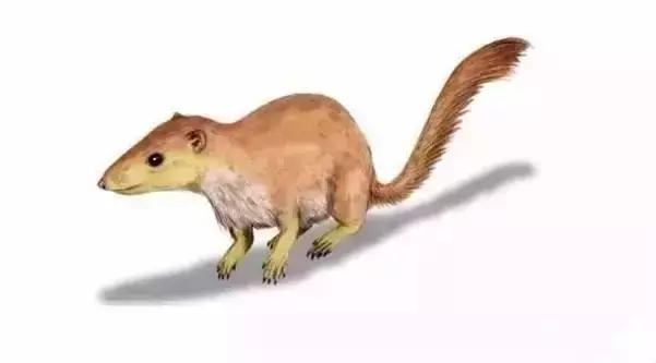 在宇宙的年历中，我们的存在连半秒钟都不到！