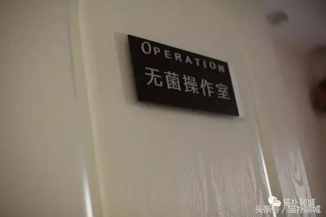 聊城这群美女个个都是纹绣高手，他们藏在新东方广场的秘密基地里