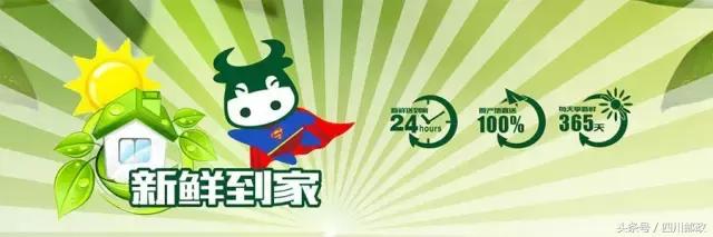 狂欢其实就是一群人的孤独,狂欢才是王道