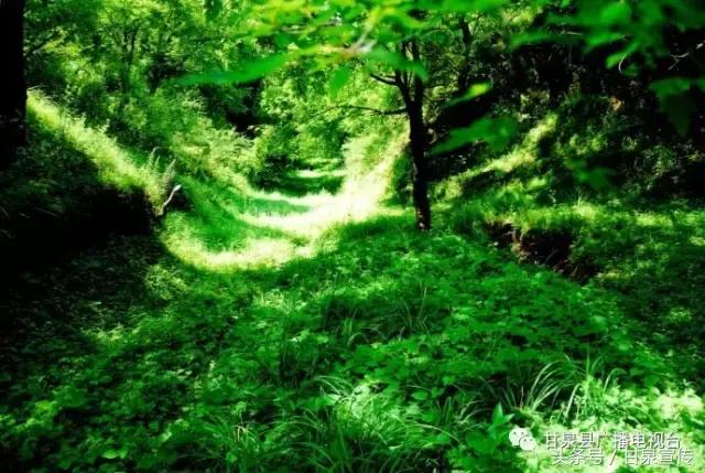 延安甘泉大峡谷桦树沟图片,甘泉雨岔大峡谷桦树沟玩多长时间