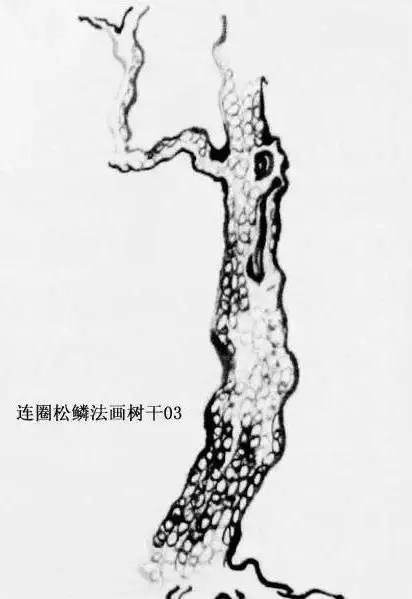 最简单的树干画法,树干的简便画法