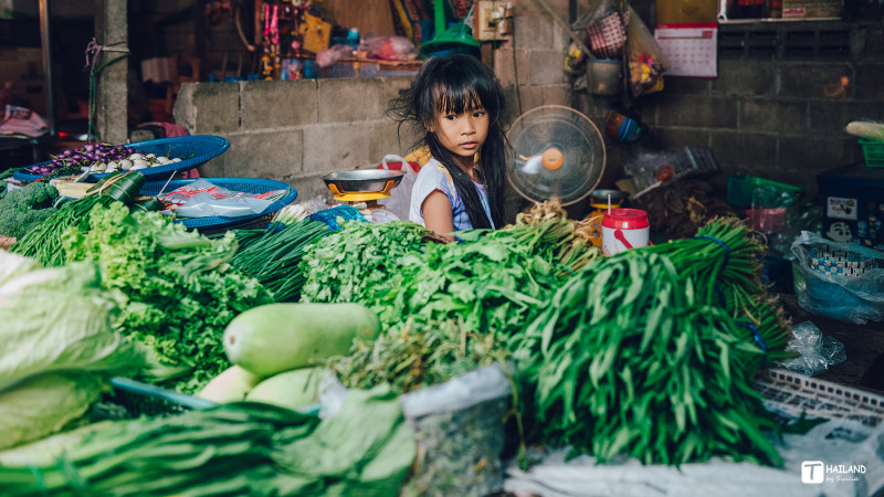 回忆那年在泰国踏浪看海,带你一起去泰国看海
