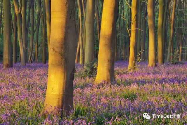 旅行文艺香水,旅行香水推荐