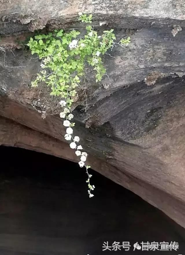 延安甘泉大峡谷桦树沟图片,甘泉雨岔大峡谷桦树沟玩多长时间