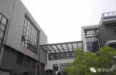 仙林新城香悦澜山附近幼儿园,南京金牛湖仙林幼儿园