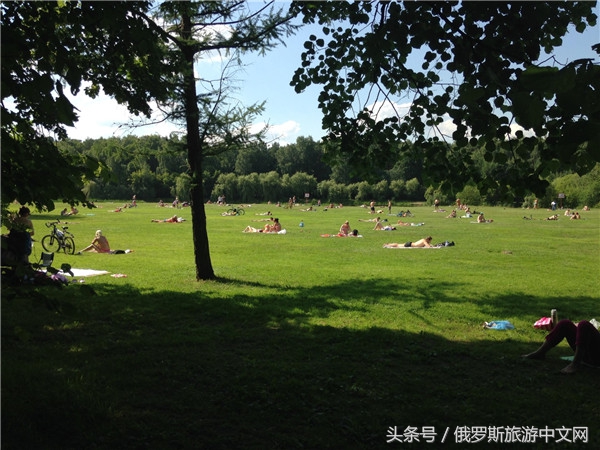 俄罗斯烤肉和牛排哪个好吃,俄罗斯烤肉种类