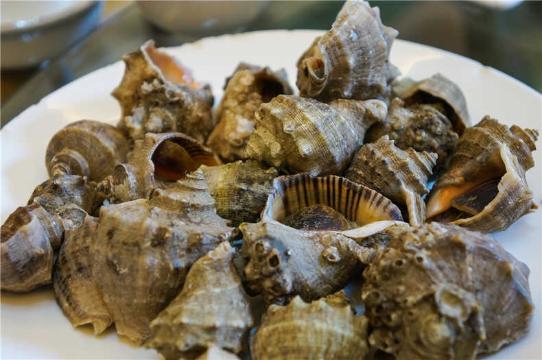 带着狗狗去旅行秦皇岛,带着狗狗旅居