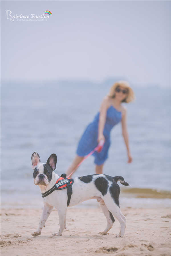 带着狗狗去旅行秦皇岛,带着狗狗旅居