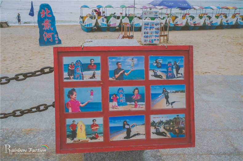 带着狗狗去旅行秦皇岛,带着狗狗旅居