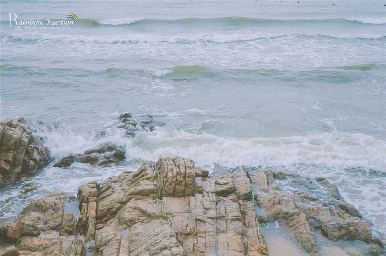 带着狗狗去旅行秦皇岛,带着狗狗旅居