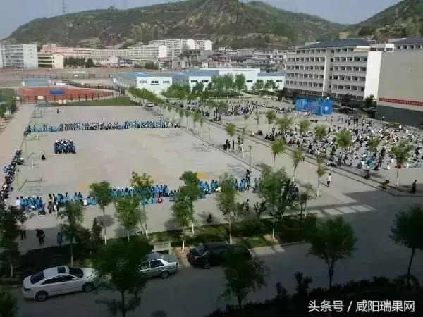 最美校园评选奖励是真的吗,评比最美校园