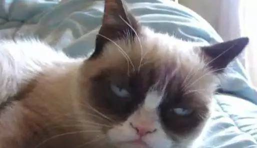 艾特扬州所有人，眼霜用的早，五十岁都不显老！