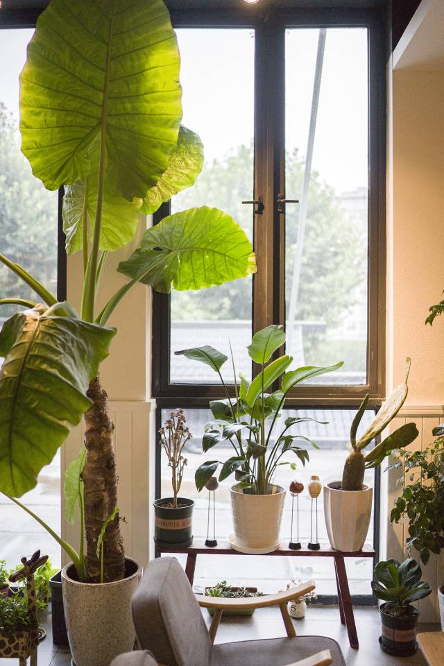 都抱怨斑马君最近没推荐新店,今天打包十家给你够不够?