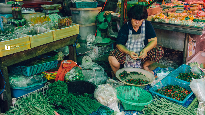 回忆那年在泰国踏浪看海,带你一起去泰国看海