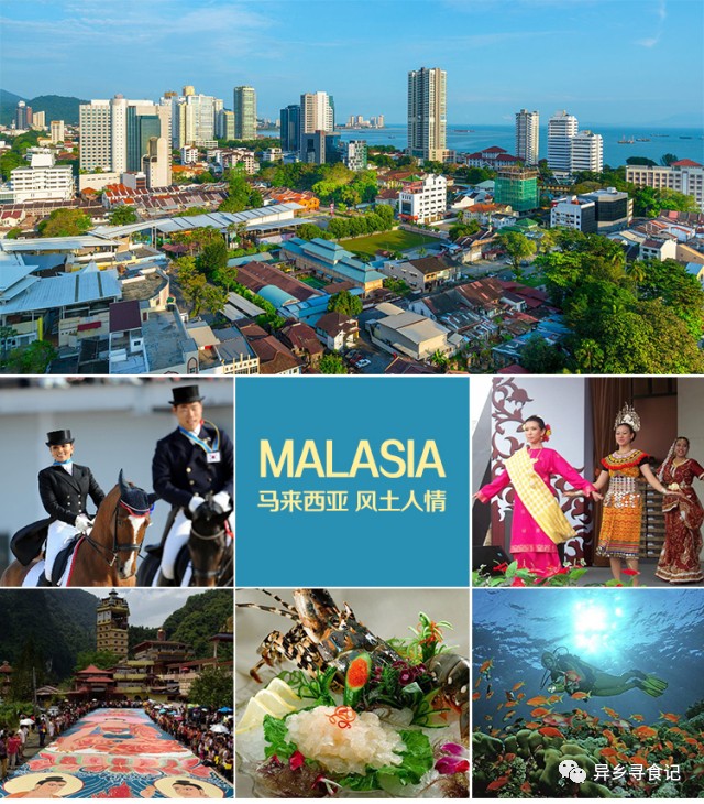 马来西亚最值得吃的水果都有哪些？