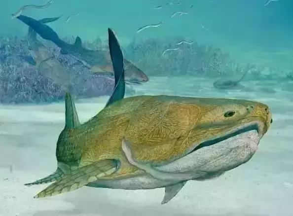 在宇宙的年历中，我们的存在连半秒钟都不到！