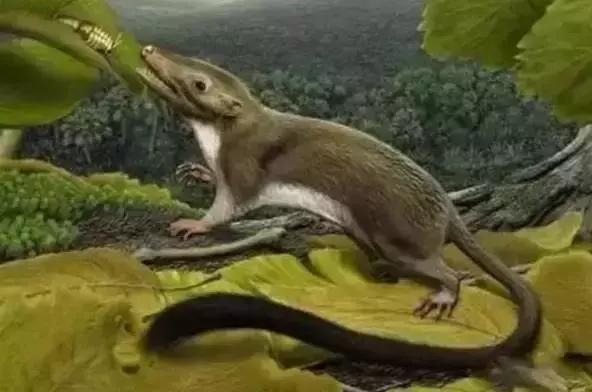 在宇宙的年历中，我们的存在连半秒钟都不到！