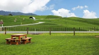 四大奶粉是哪几个品牌,全球四大有机奶粉