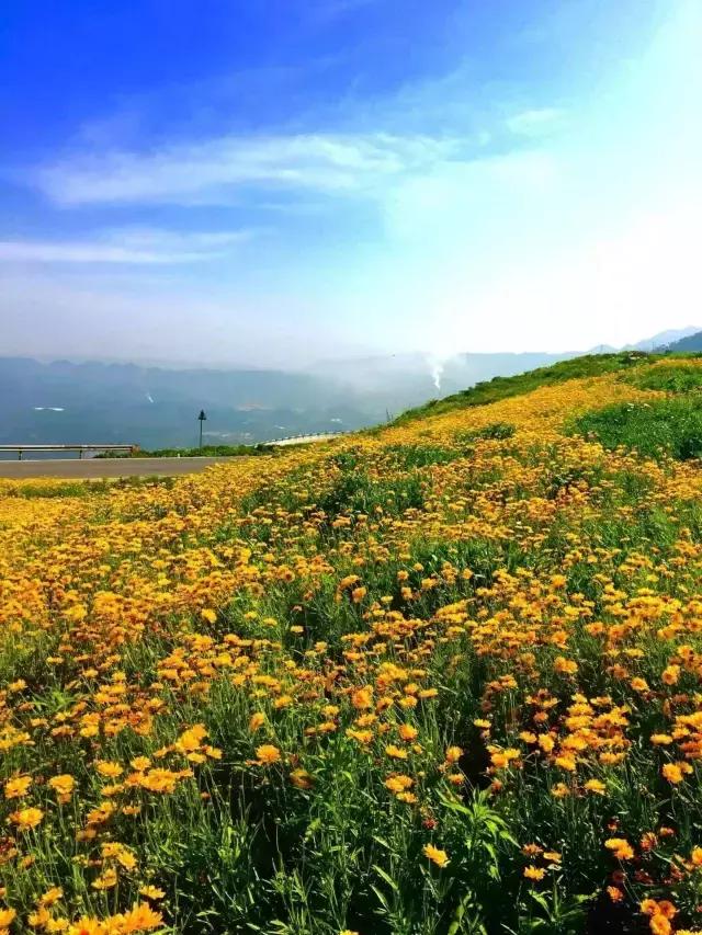 重庆涪陵的身份证,涪陵人身份证
