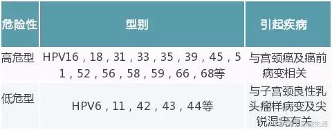 慢性宫颈炎hpv阳性想怀孕有影响吗,hpv11低危型阳性能怀孕吗
