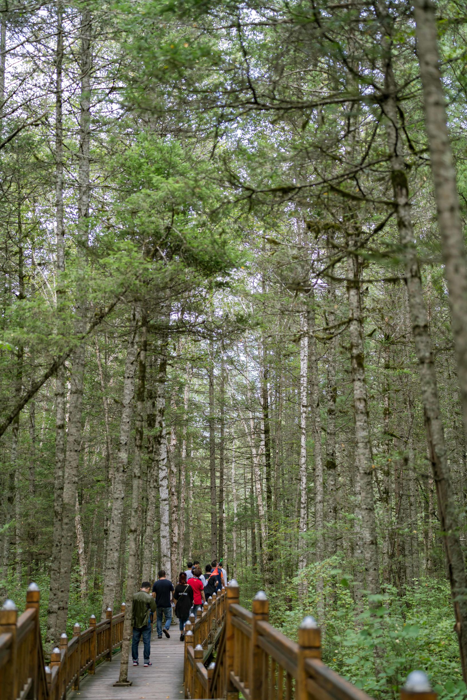 黑龙江自驾游美食攻略,黑龙江环线自驾游攻略