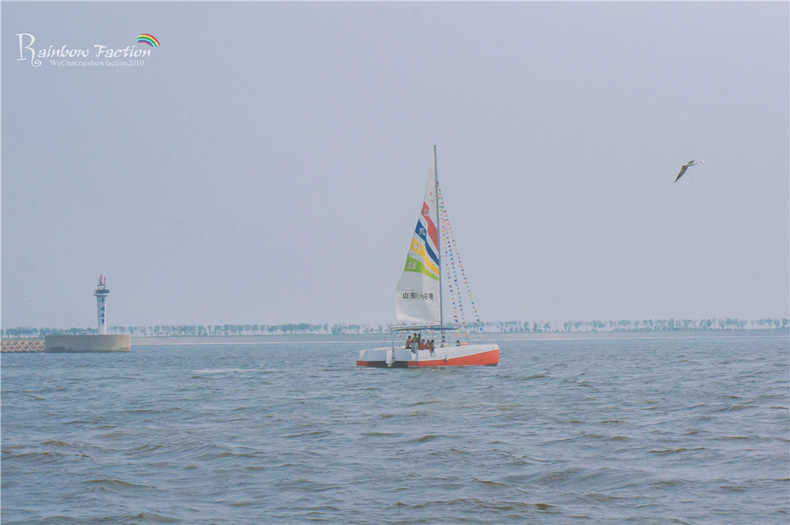 带着狗狗去旅行秦皇岛,带着狗狗旅居