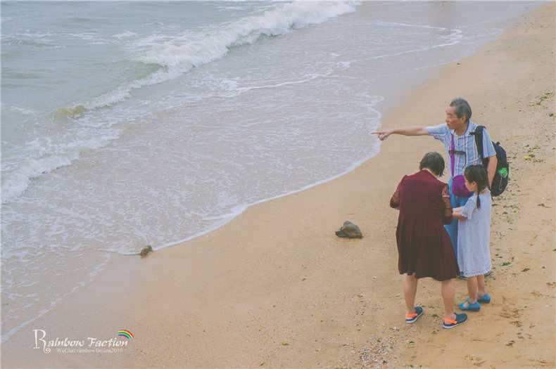带着狗狗去旅行秦皇岛,带着狗狗旅居