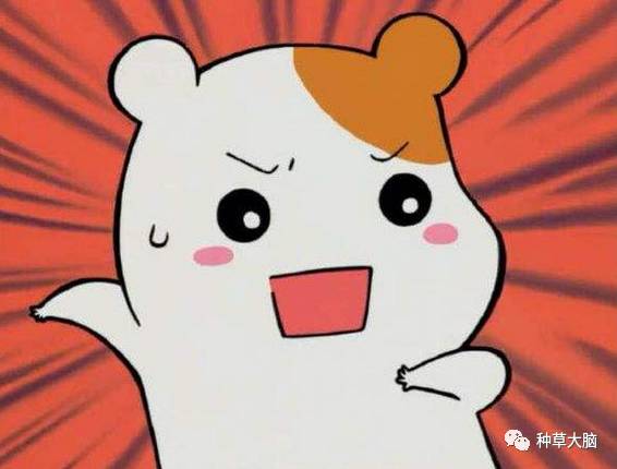 不上粉底伪素颜妆教程,不用卸妆的伪素颜妆