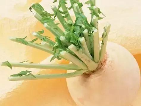 五种食物润肺解秋燥,哪些食物润肺养肺