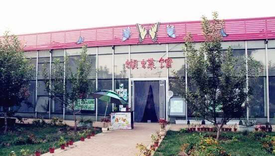 山西司徒小镇,司徒小镇又见老山西完整视频