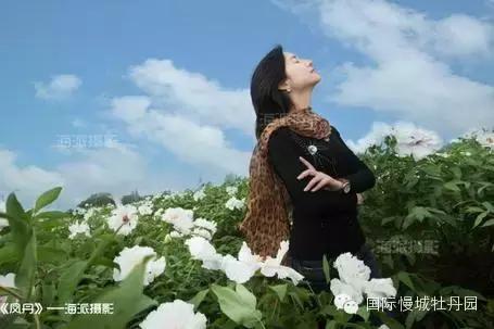 专业角度看凤丹各器官特点,带你全面科学认识高淳四宝-白牡丹