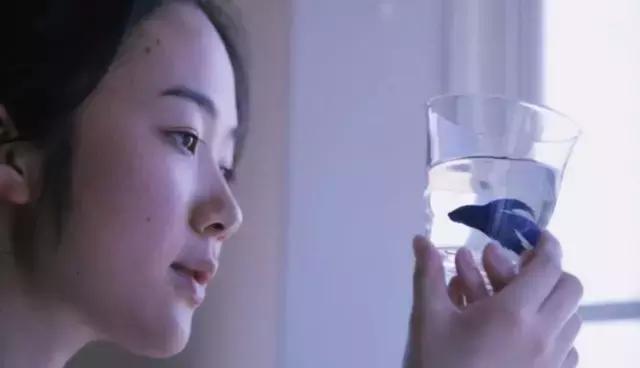 不好的婚姻如何做到为自己而活,为自己而活不是为别人活