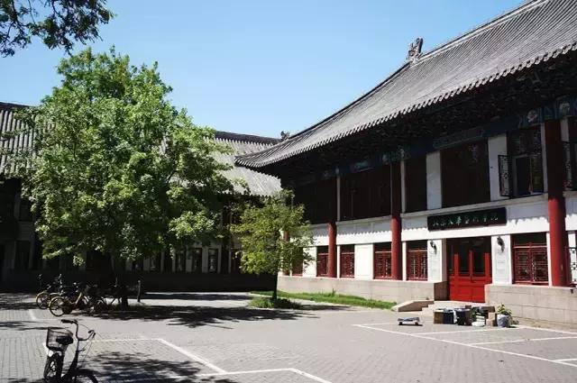 春风十里,吹不散这茬人长达一年的军训记忆