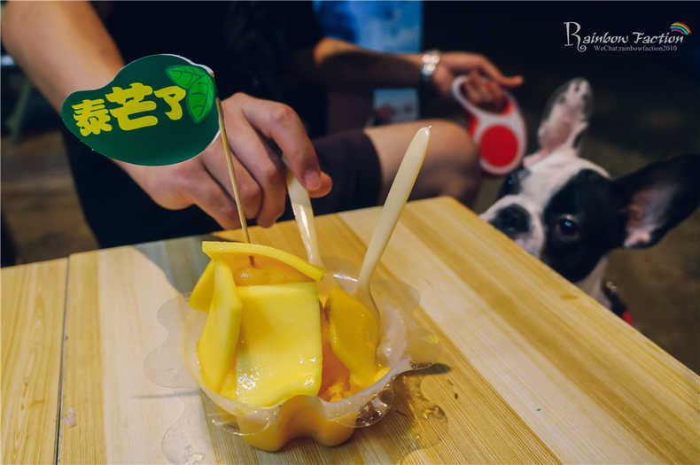 带着狗狗去旅行秦皇岛,带着狗狗旅居