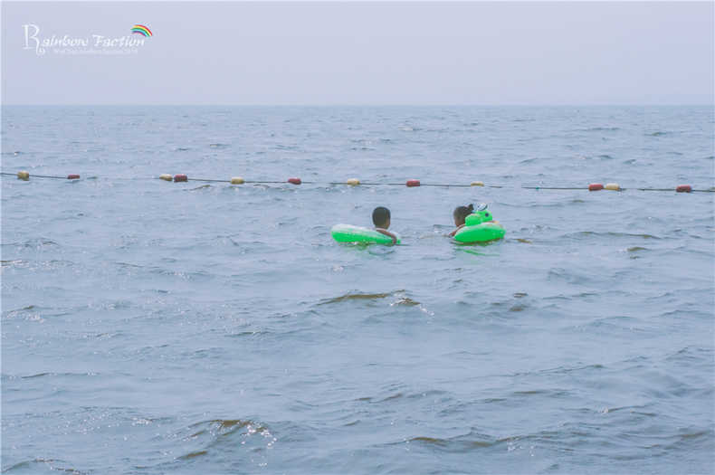 带着狗狗去旅行秦皇岛,带着狗狗旅居