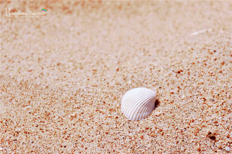 带着狗狗去旅行秦皇岛,带着狗狗旅居