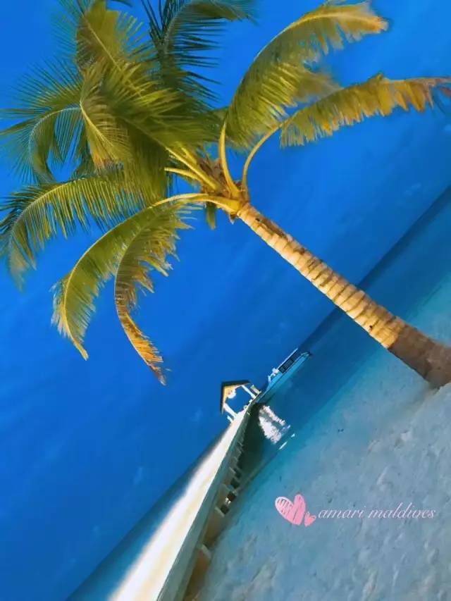 马尔代夫真的值得去吗,去马尔代夫的真实感受