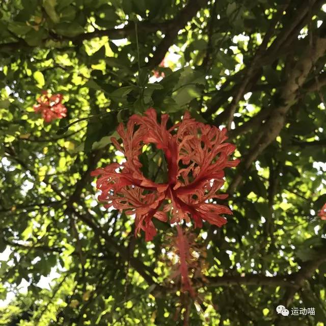 香港南丫岛一日游攻略,香港南丫岛旅游攻略一日游