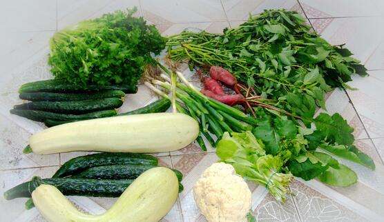 二十四节气之白露歌曲,二十四节气之白露作品