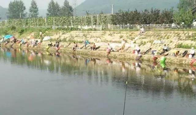 岫岩满族自治县黄花甸镇篮球赛,岫岩黄花甸篮球赛